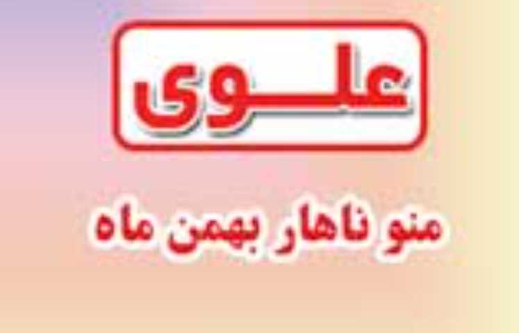 منوی ناهار بهمن ماه مدارس علوی