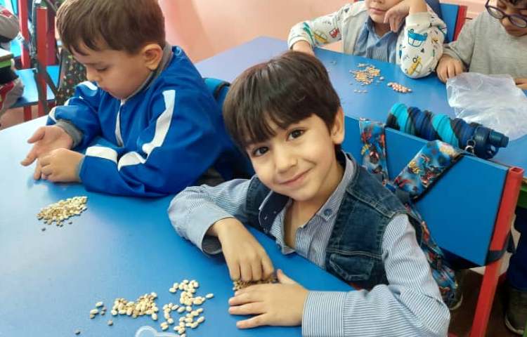 مهارت دست ورزی 2