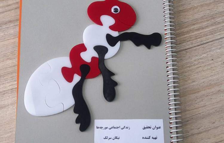 مهارت های زندگی درس زندگی گروهی و تحقیق زندگی حیوانات 2