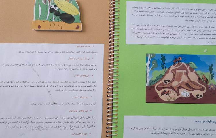 مهارت های زندگی درس زندگی گروهی و تحقیق زندگی حیوانات 6