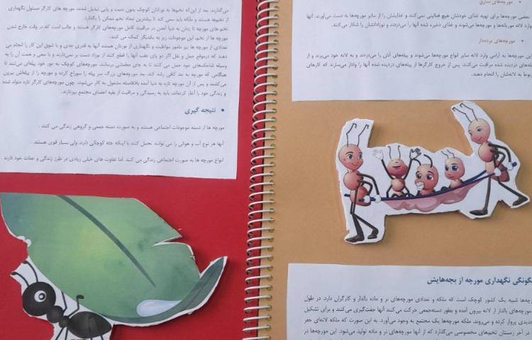 مهارت های زندگی درس زندگی گروهی و تحقیق زندگی حیوانات 7