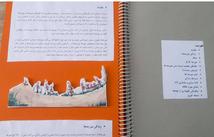 مهارت های زندگی درس زندگی گروهی و تحقیق زندگی حیوانات