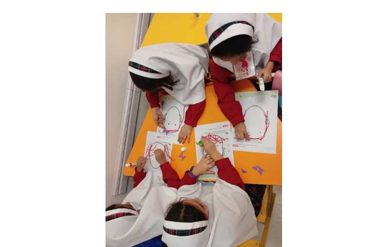 مهارت کلاژ صورت 5