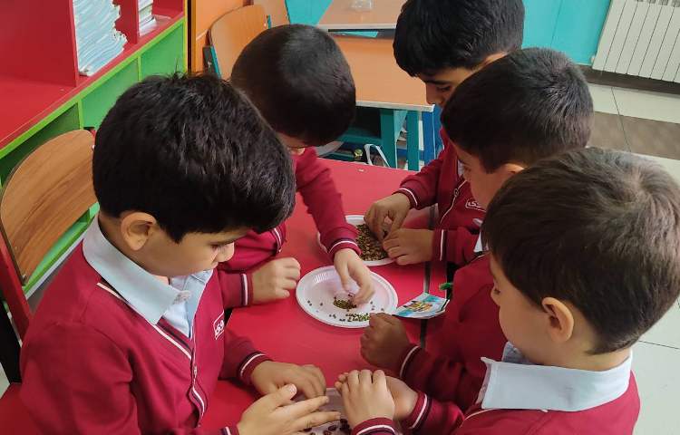 مهارت Fine motor skills 11