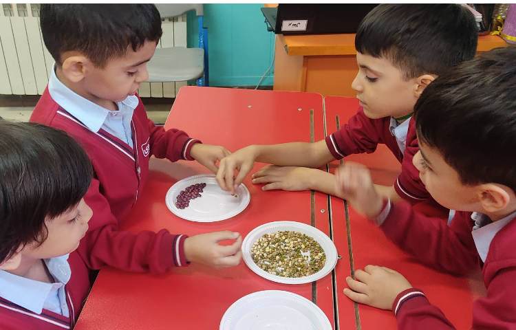 مهارت Fine motor skills 12