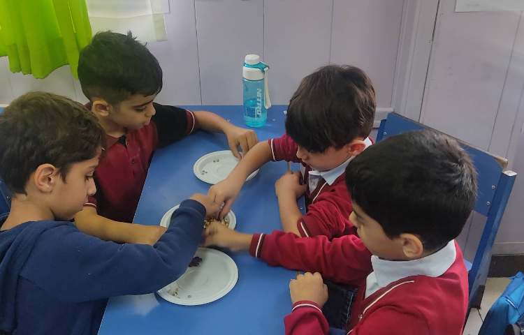 مهارت Fine motor skills 3