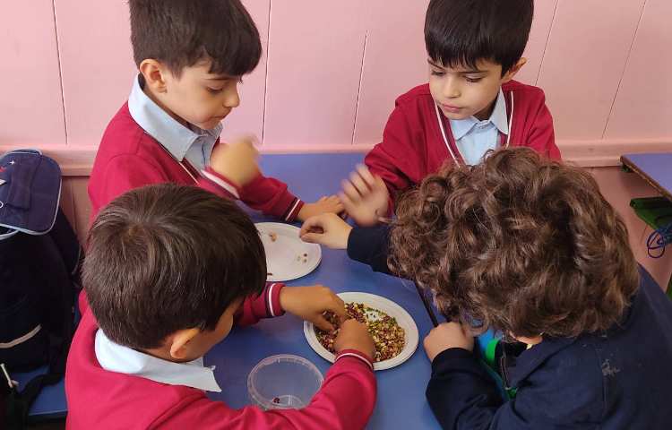 مهارت Fine motor skills 5