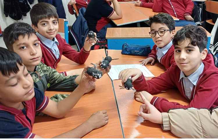 مهندسان طبیعت (مورچه ها ) صحبت و آشنایی با زندگی مورچه ها و درست کردن کاردستی مورچه 6