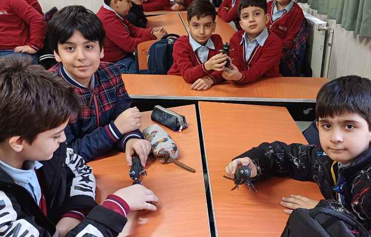 مهندسان طبیعت (مورچه ها ) صحبت و آشنایی با زندگی مورچه ها و درست کردن کاردستی مورچه 7