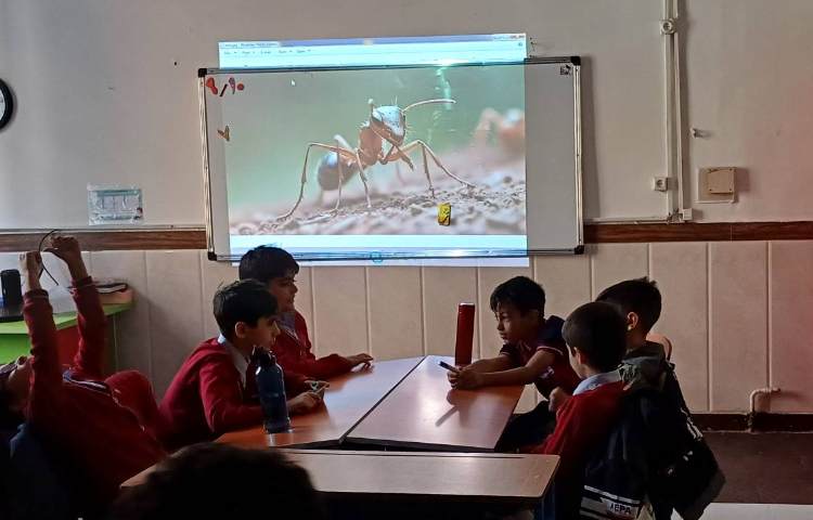 مهندسان طبیعت (مورچه ها ) صحبت و آشنایی با زندگی مورچه ها و درست کردن کاردستی مورچه