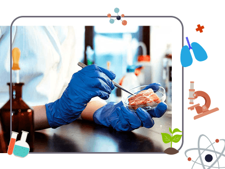 مهندسی صنایع غذایی