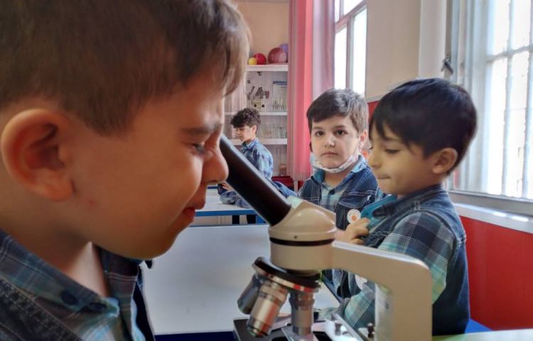 :موجودات زنده،کلاس پرتقال 2