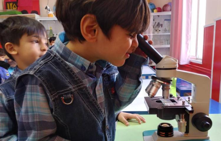 :موجودات زنده،کلاس پرتقال 4