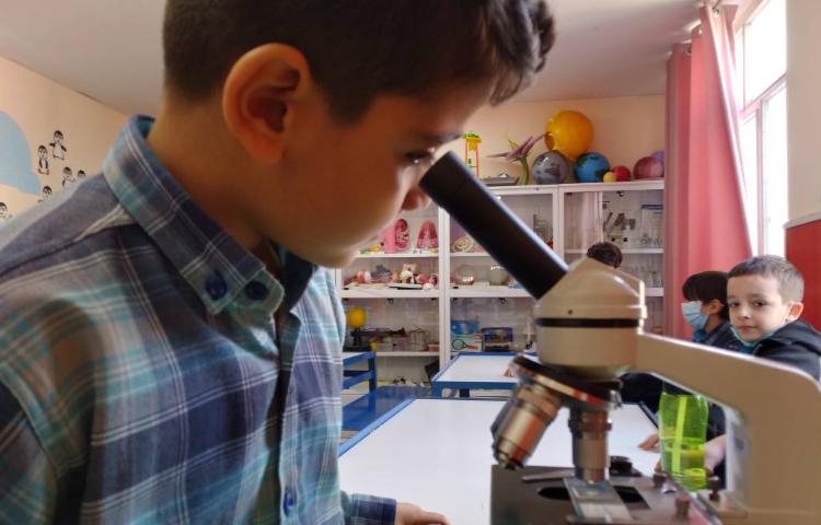 :موجودات زنده،کلاس پرتقال