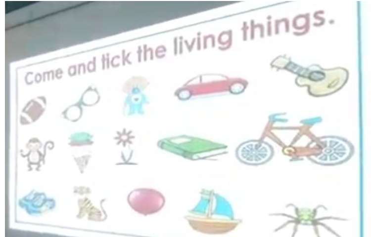 موجودات زنده 1