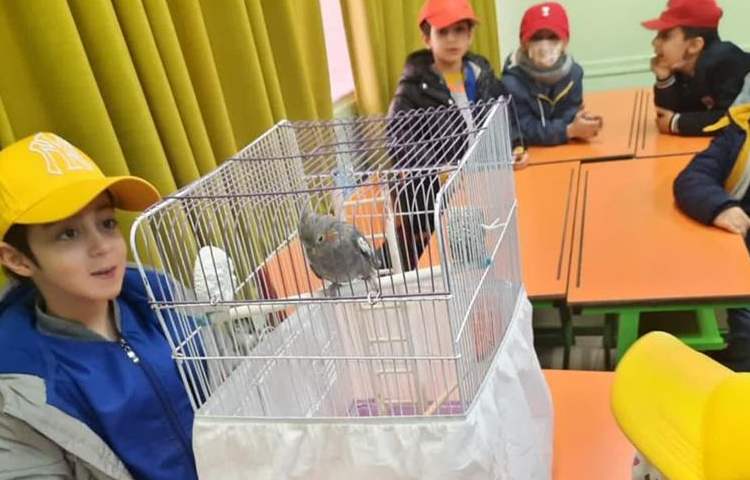 موضوع دوست خانگی من هفته ملی علوم دبستان علوی 13