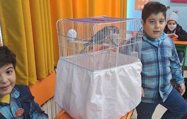 موضوع دوست خانگی من هفته ملی علوم دبستان علوی 18