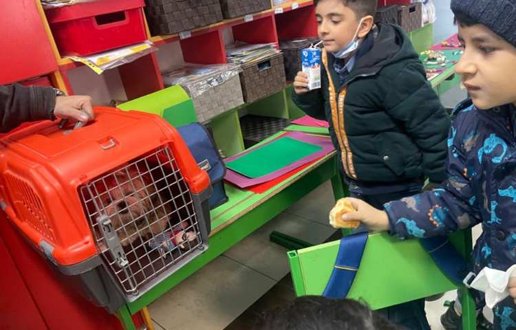 موضوع دوست خانگی من هفته ملی علوم دبستان علوی 19