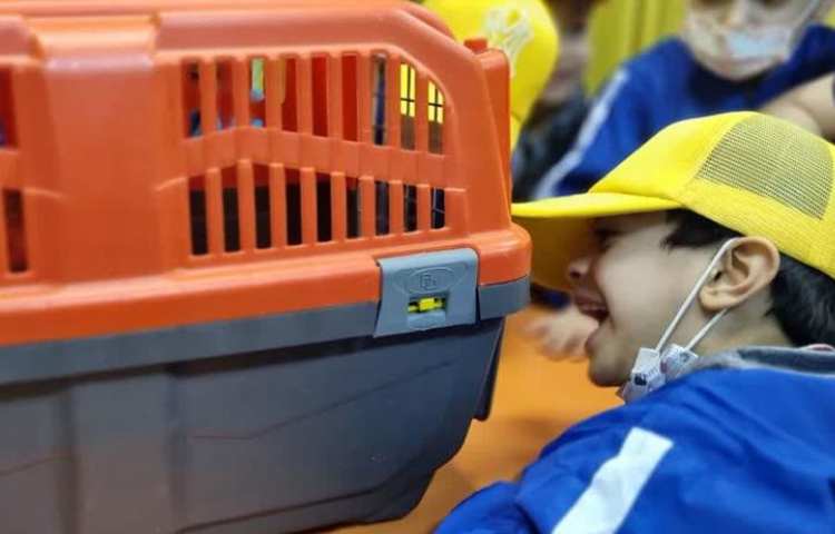 موضوع دوست خانگی من هفته ملی علوم دبستان علوی 2