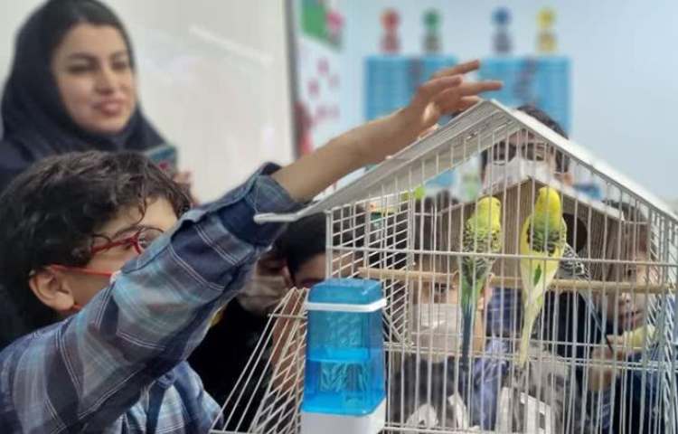 موضوع دوست خانگی من هفته ملی علوم دبستان علوی 20