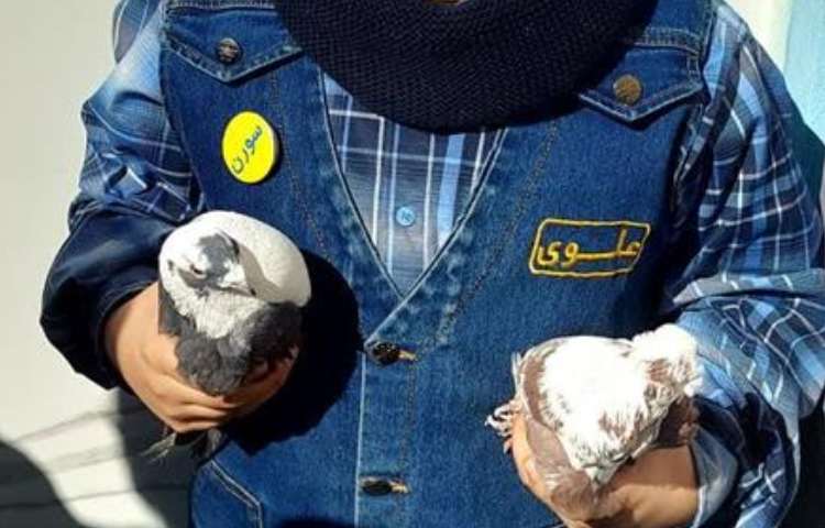 موضوع دوست خانگی من هفته ملی علوم دبستان علوی 3