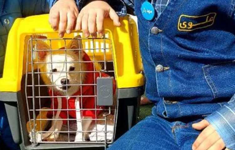 موضوع دوست خانگی من هفته ملی علوم دبستان علوی 4