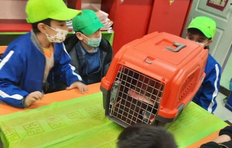 موضوع دوست خانگی من هفته ملی علوم دبستان علوی 9