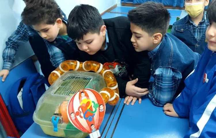 موضوع دوست خانگی من هفته ملی علوم دبستان علوی