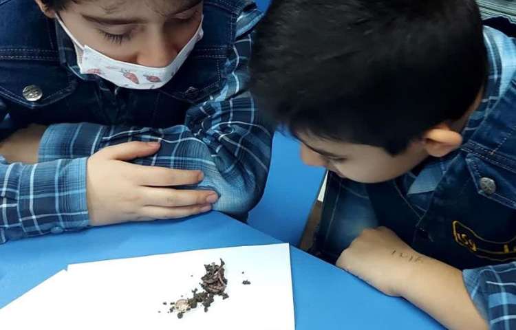 موضوع کرم خاکی دانش آموزان پایه دوم دبستان 1