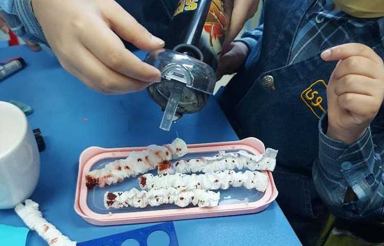 موضوع کرم خاکی دانش آموزان پایه دوم دبستان 7