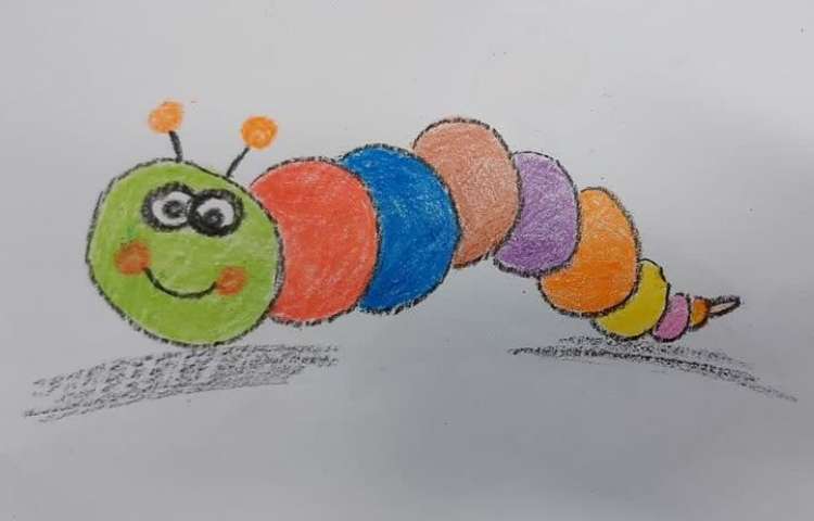 موضوع کرم خاکی دانش آموزان پایه دوم دبستان 9