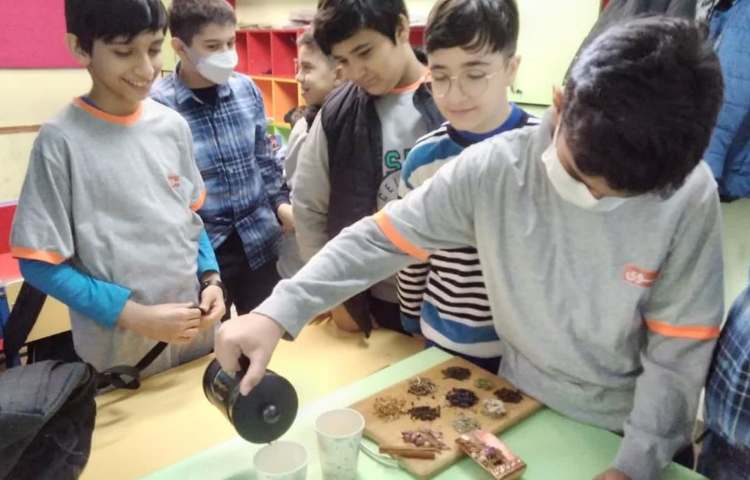 موضوع گیاهان دارویی و دنیای عنکبوت ها دانش آموزان ششم دبستان 2