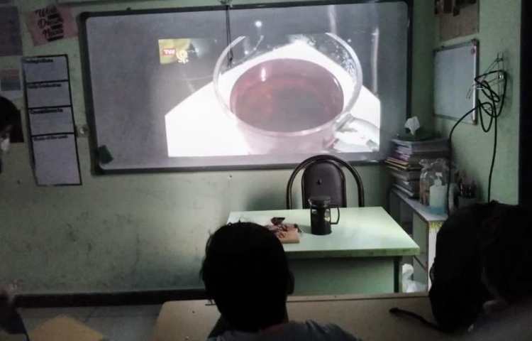 موضوع گیاهان دارویی و دنیای عنکبوت ها دانش آموزان ششم دبستان 5