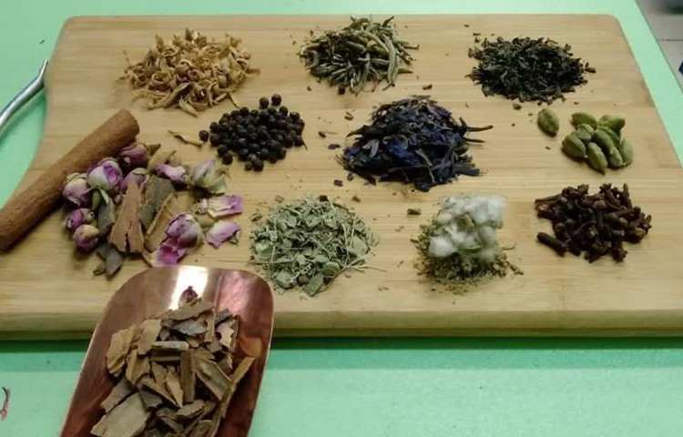 موضوع گیاهان دارویی و دنیای عنکبوت ها دانش آموزان ششم دبستان 7