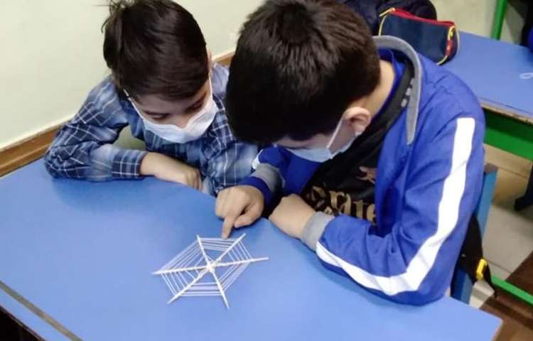 موضوع گیاهان دارویی و دنیای عنکبوت ها دانش آموزان ششم دبستان 8