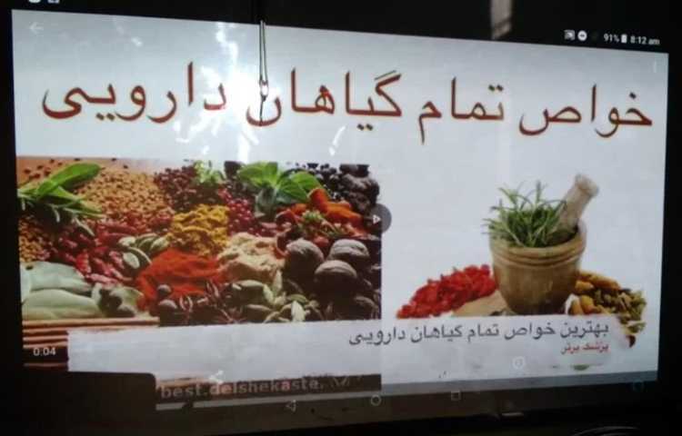 موضوع گیاهان دارویی و دنیای عنکبوت ها دانش آموزان ششم دبستان