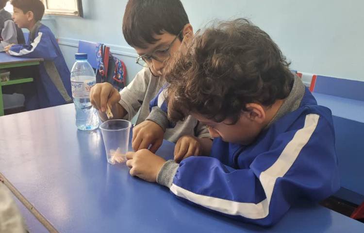 موضوع fine motor skills 2