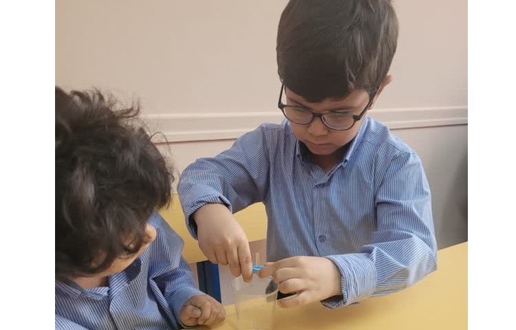 موضوع fine motor skills 4