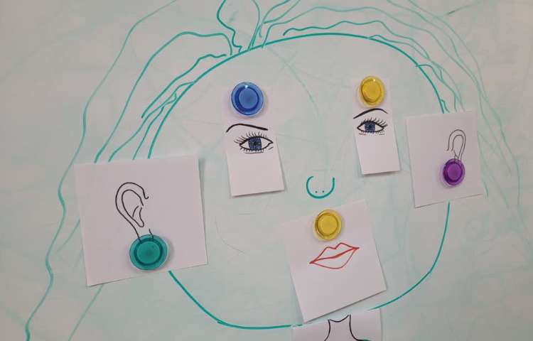 موضوع body parts Science class 4