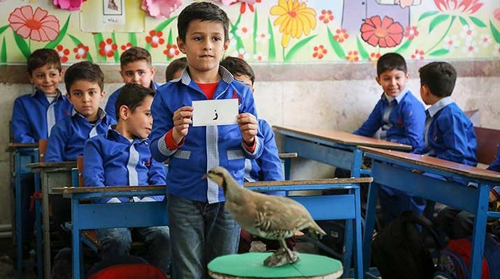 عوامل مؤثر بر موفقیت تحصیلی نوجوانان