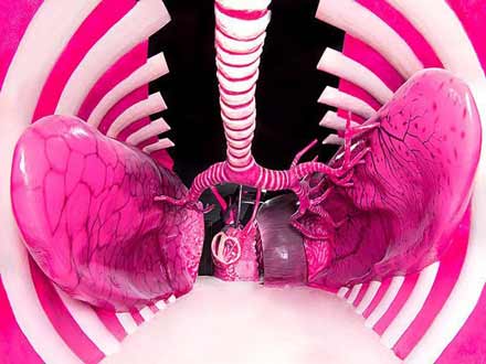 پارک علمی پروفسور بازیما