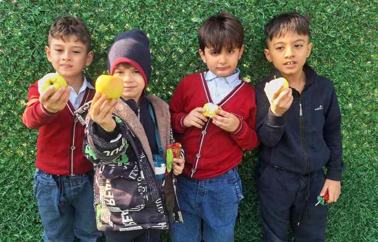 میان وعده آبان ماه 1