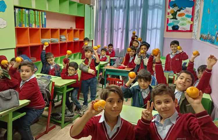 میان وعده آبان ماه 3