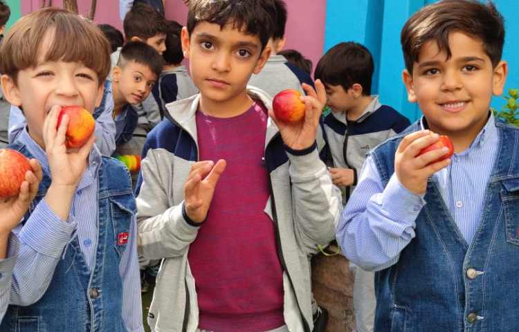 میان وعده آبان ماه 7