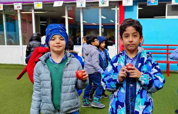 میان وعده آذرماه 4