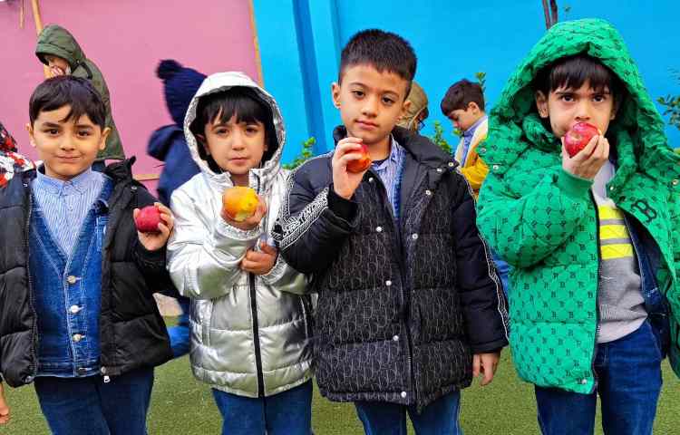 میان وعده آذرماه 5