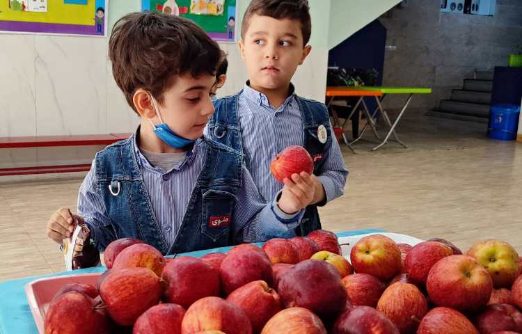 میان وعده آذرماه 5