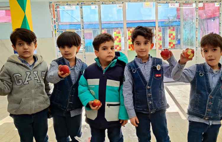 میان وعده آذرماه 6