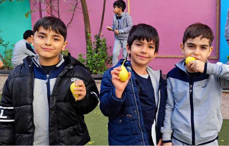 میان وعده آذر ماه 1