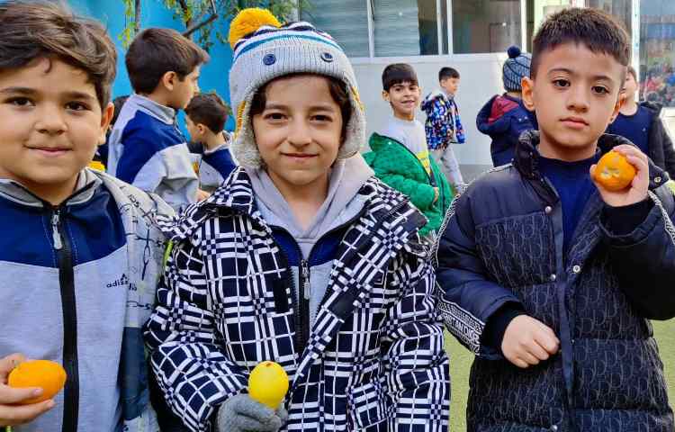 میان وعده آذر ماه 2